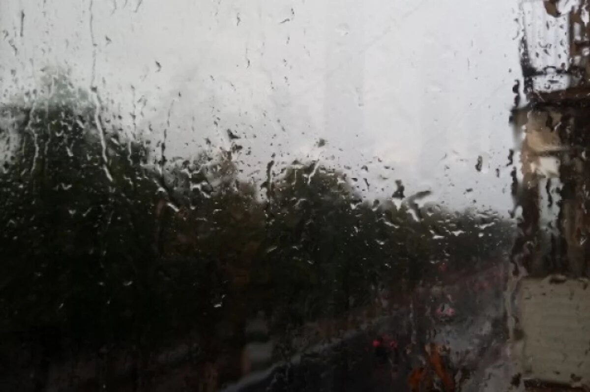    Эксперт Шихов назвал последствия аномального дефицита осадков в Прикамье