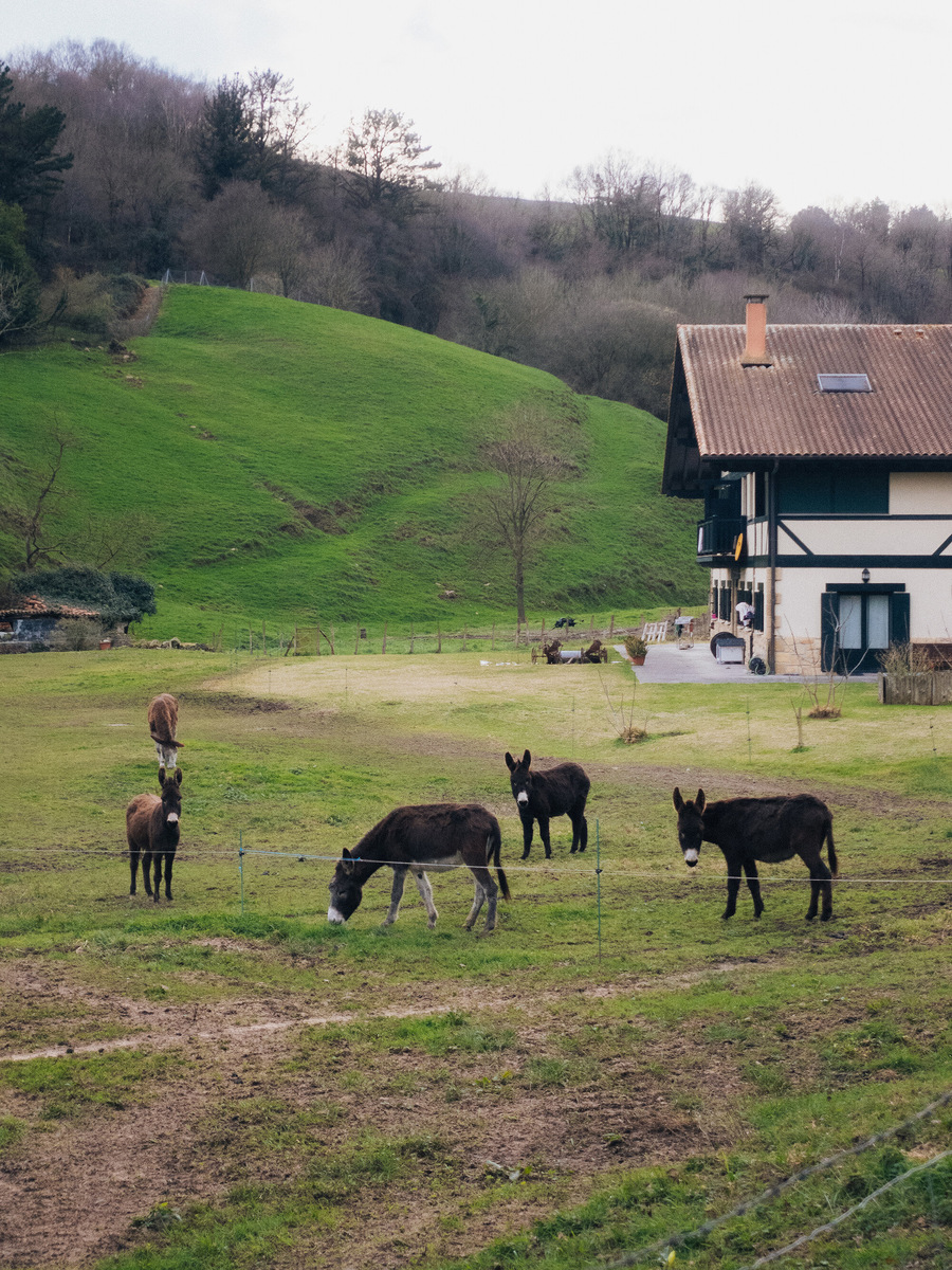 В Сан-Себастьян часто приезжают на каникулы туристы из Мадрида, прячась от изнуряющей сорокаградусной жары, а Биарриц в это время наполняется модниками из Парижа