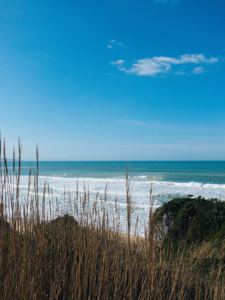 В Сан-Себастьян часто приезжают на каникулы туристы из Мадрида, прячась от изнуряющей сорокаградусной жары, а Биарриц в это время наполняется модниками из Парижа