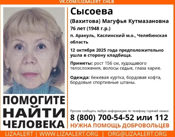    Такие ориентировки были у волонтёров. Фото: Лиза Алерт