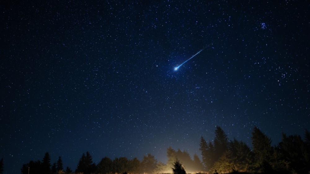     Фото: New Africa/Shutterstock/FOTODOM