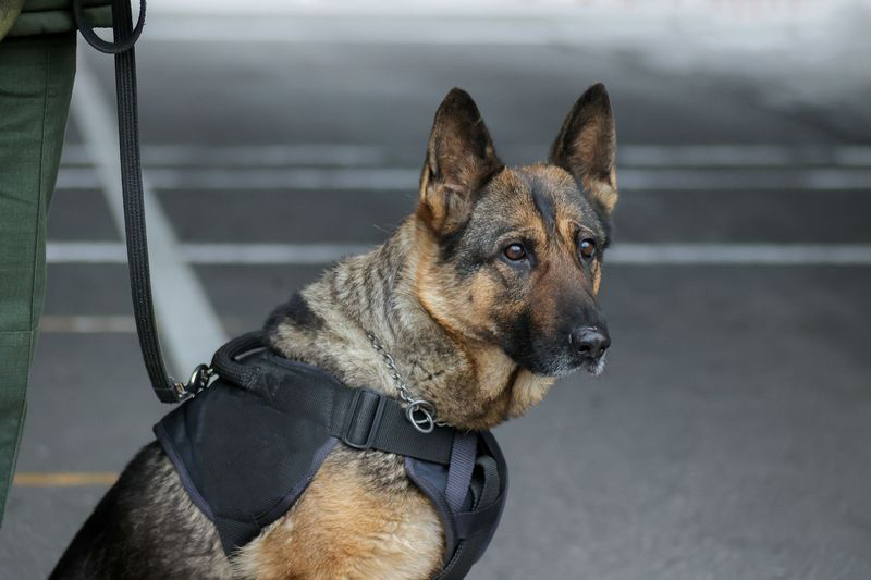    Сергей Петров/NEWS.ru