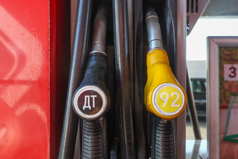    Наталья Шатохина/NEWS.ru