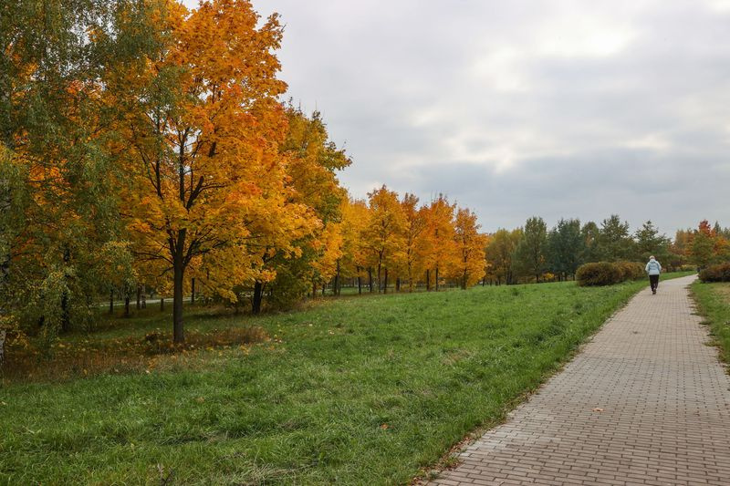    Сергей Булкин/NEWS.ru