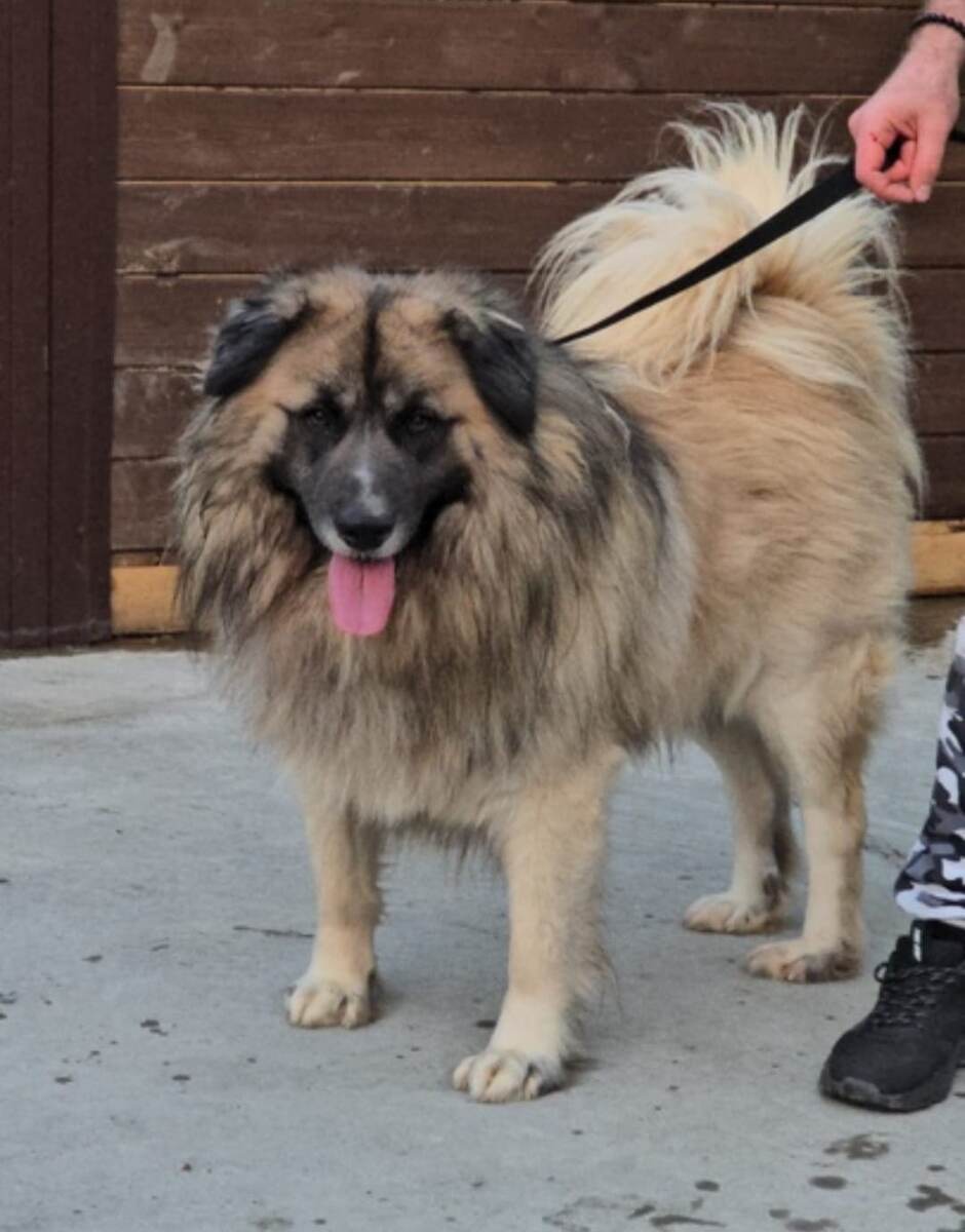 Мишенька❤️