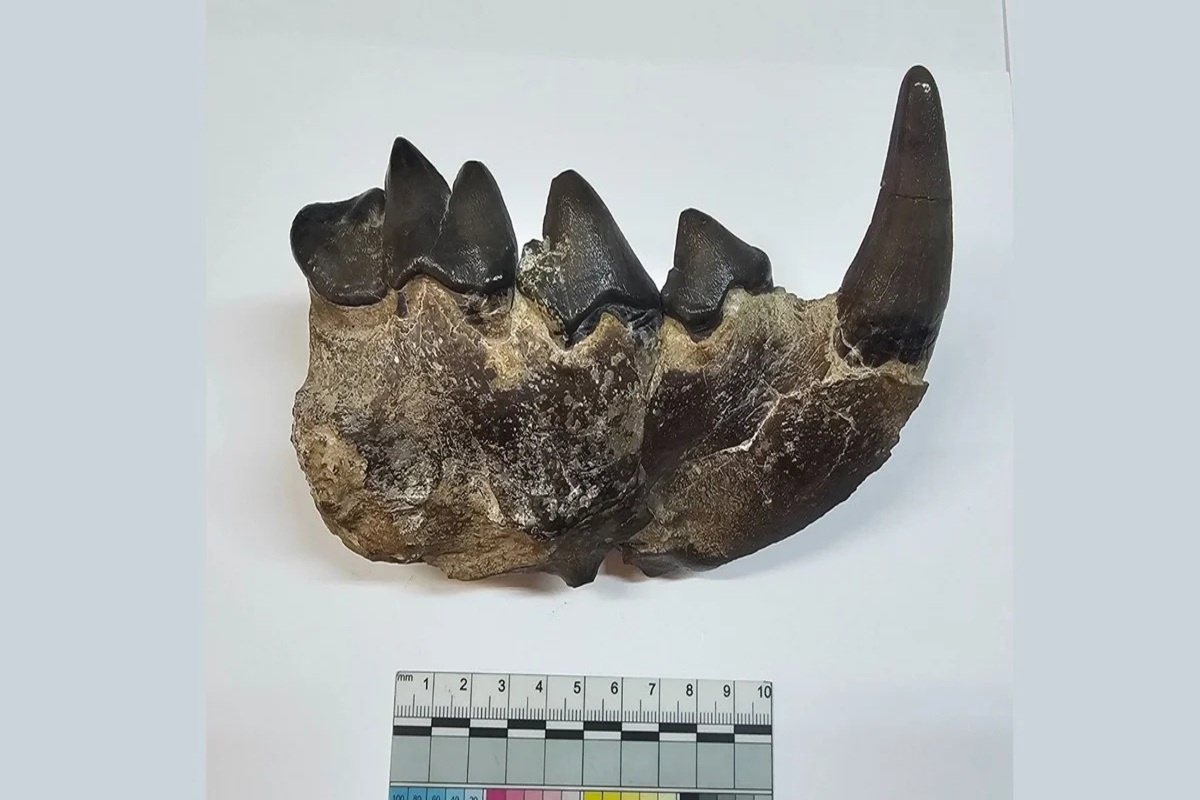    Фото: Данияр Хантемиров / УрФУ