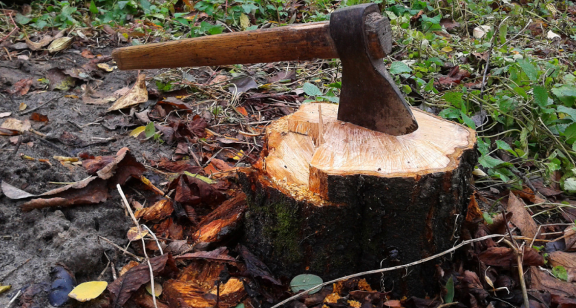    Азиатская смекалка: Китайцы научились удалять пни на участке за 10 минут — даже ни разу не вспотев