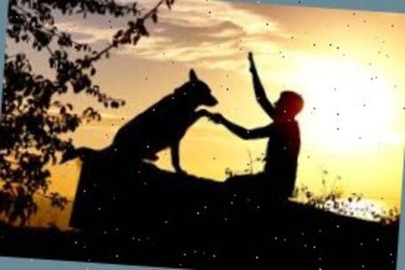 С собакой в деревне.