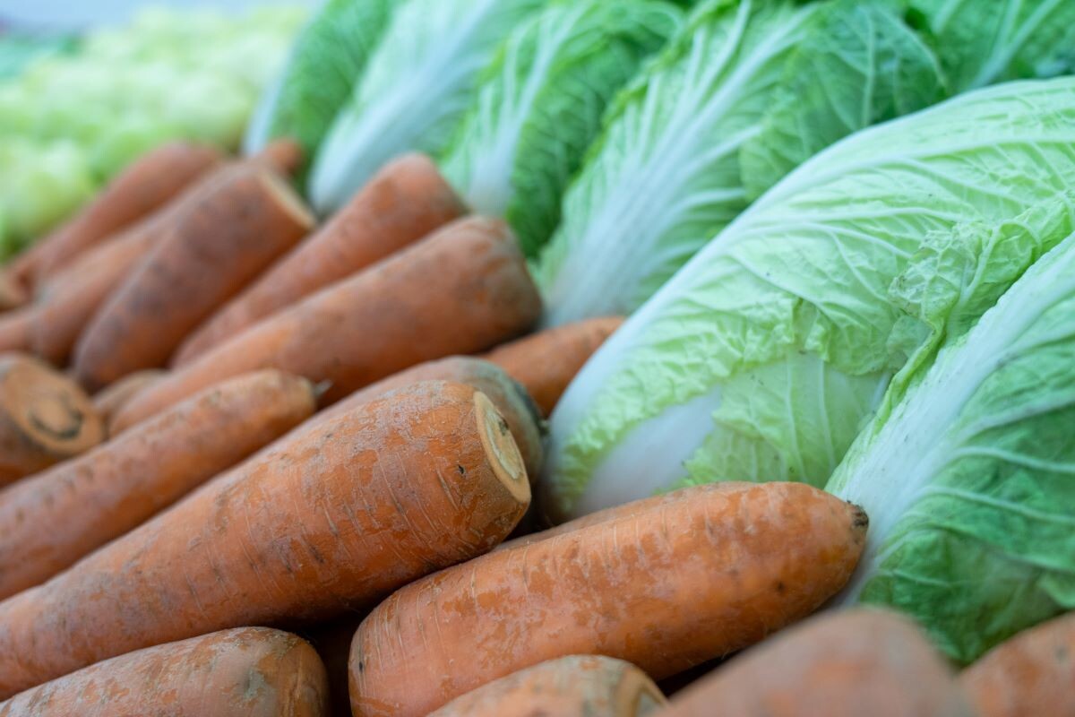 Фото: Александр Плонский / «Агроэксперт»