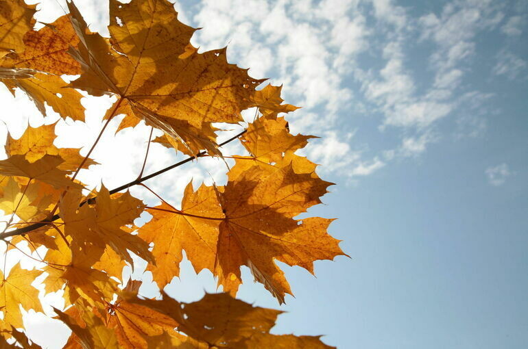   Игорь Самохвалов/«Парламентская газета»