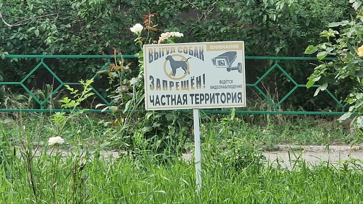    Фото: телеканал «Краснодар»