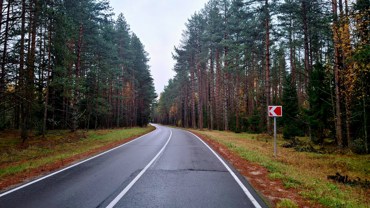 Дорога в Рощино