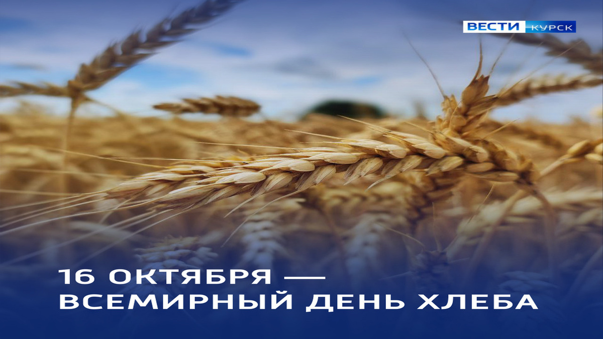    Сегодня в Курске отмечают Всемирный день хлеба