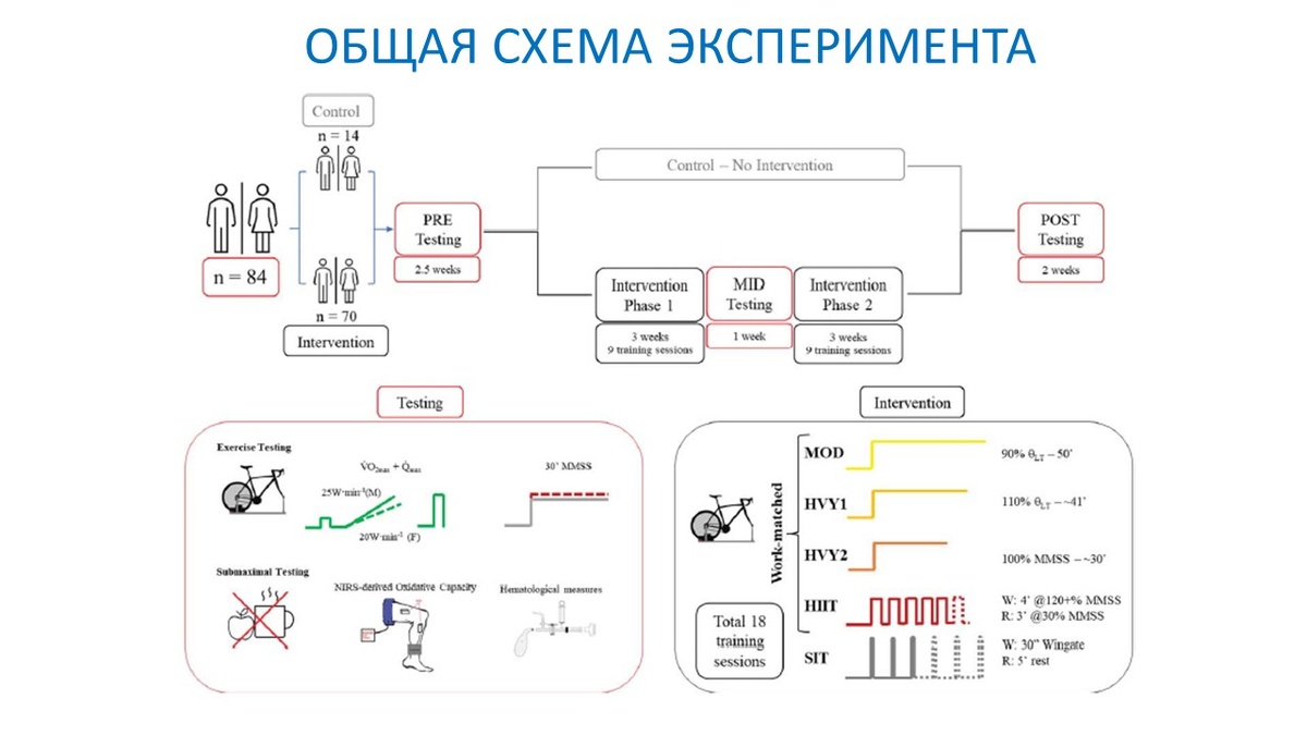 Рисунок 1. Общая схема эксперимента.