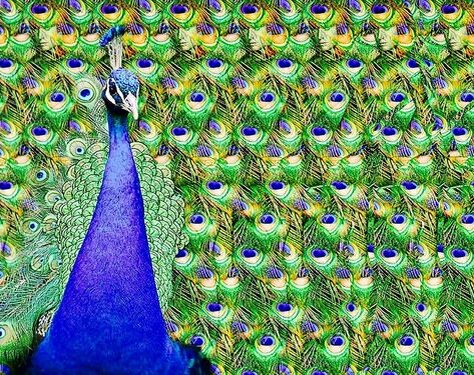 Стереокартинка - 1