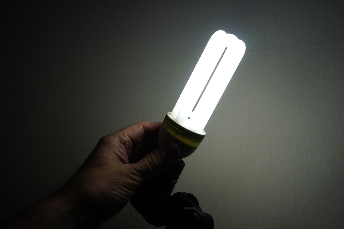     / Источник: © ИЗВЕСТИЯ/Эдуард Корниенко