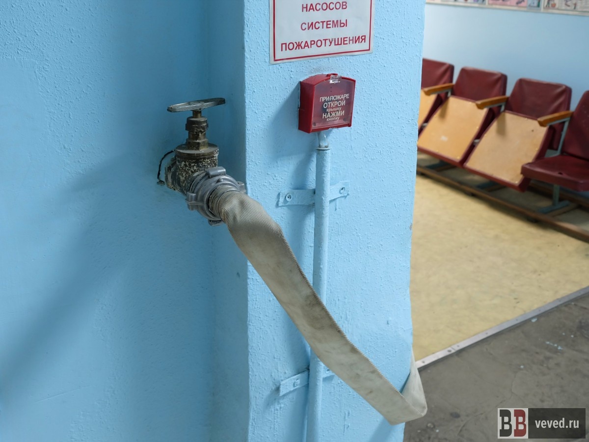     Фото: Владислав Постников / Вечерние Ведомости