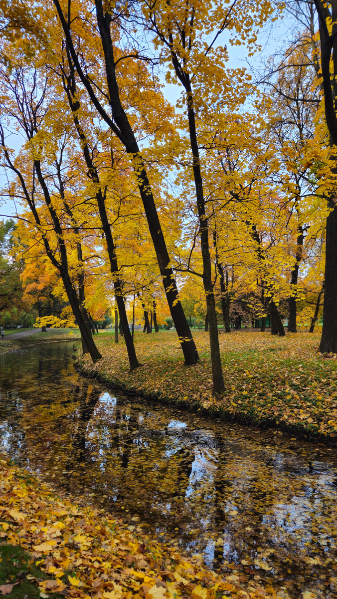Таврический сад (фотография автора)