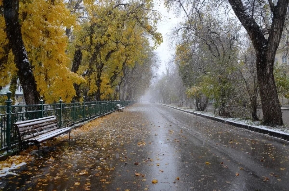    Синоптики ориентируют волгоградцев на зиму без всплесков тепла