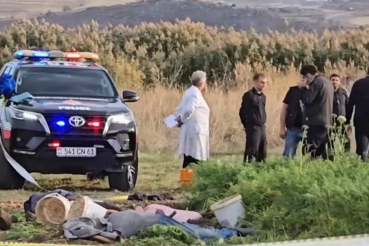    Фото: Shamshyan.com