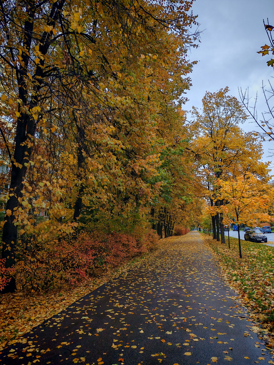 Бегу с остановки к школе