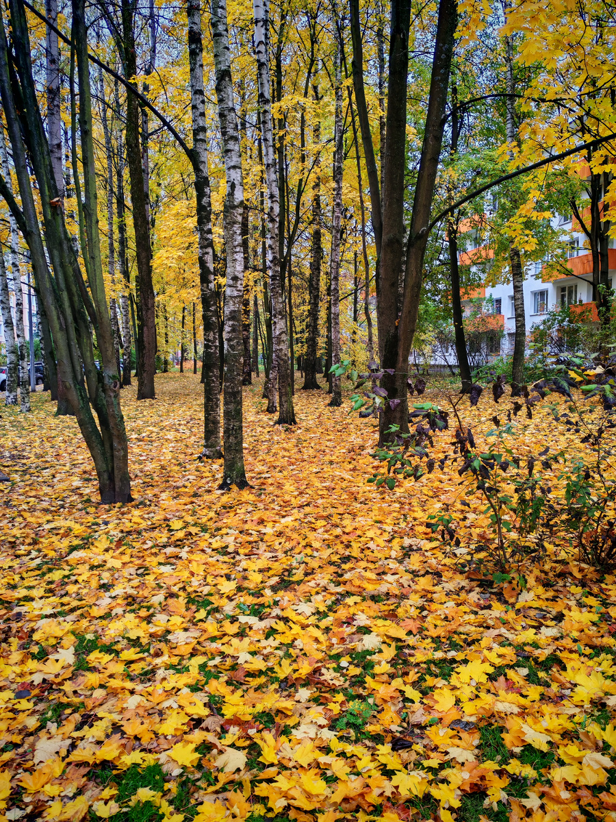Бегу с остановки к школе. 