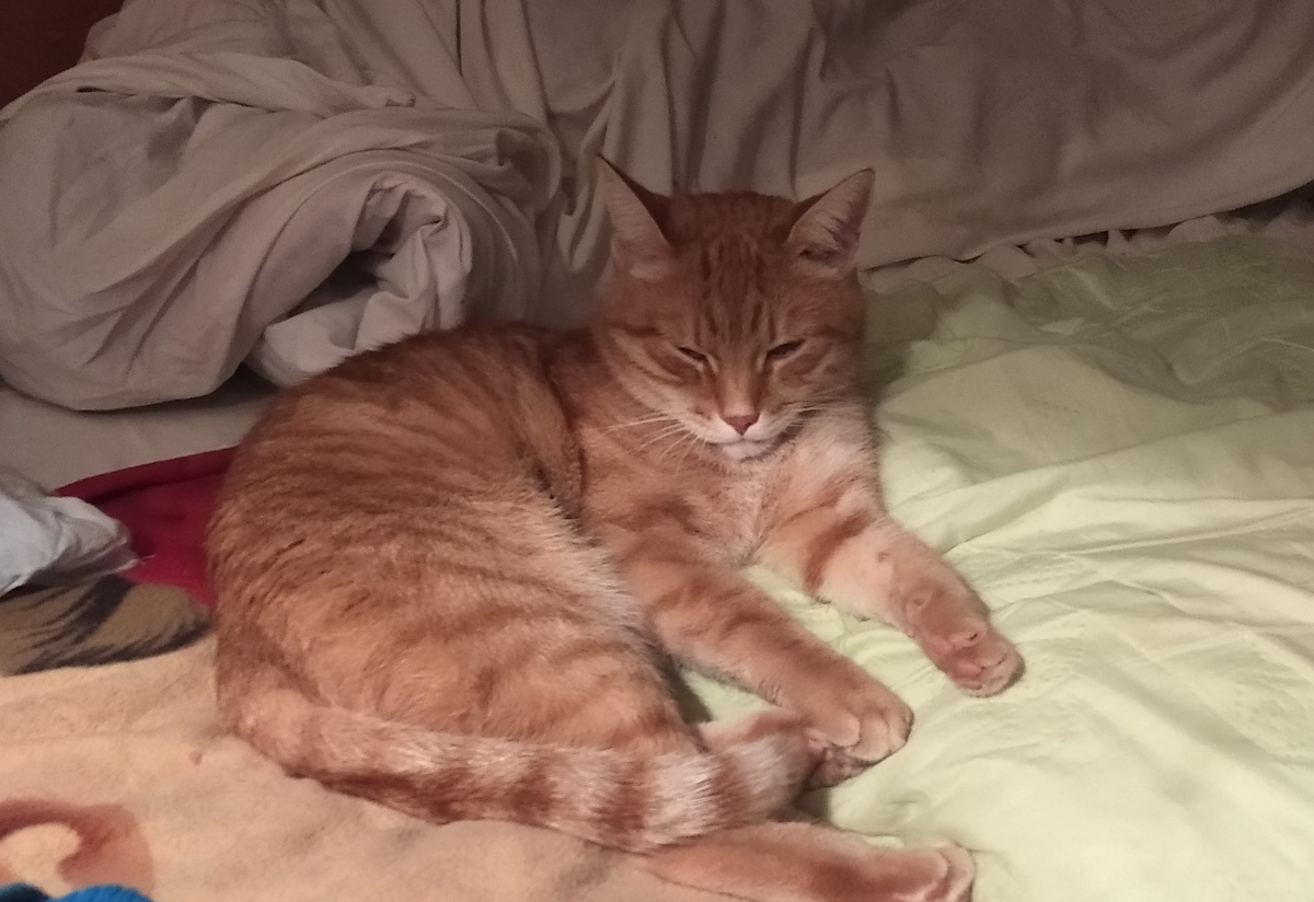 личное  фото