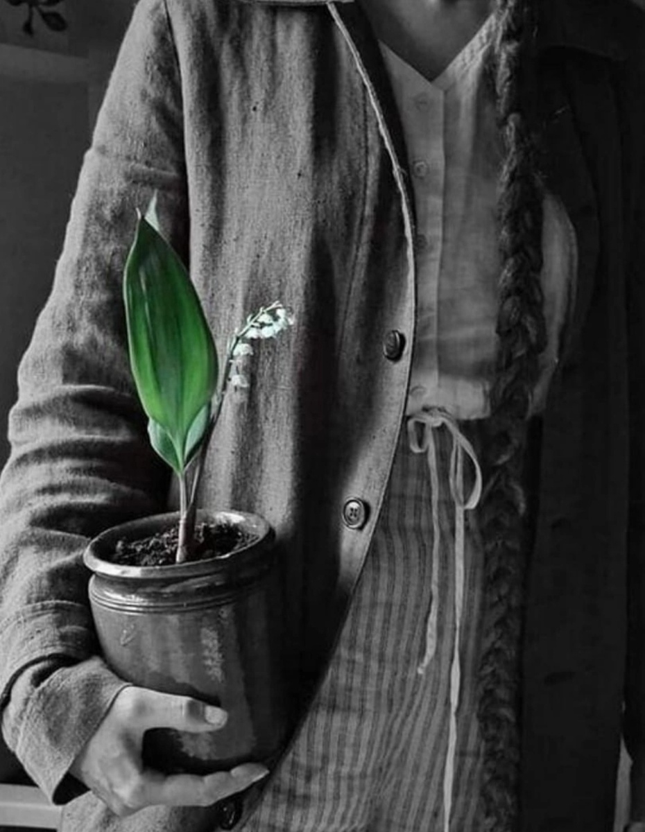 Фото из   Pinterest