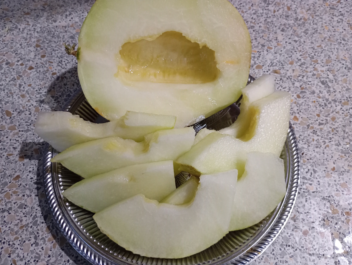 Дыня фото автора.