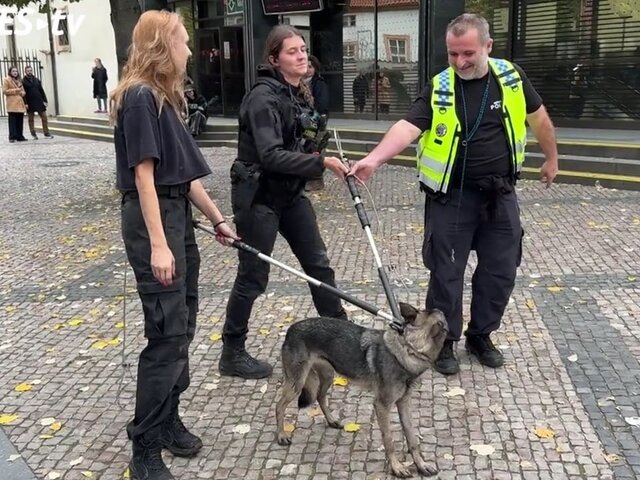    Фото: idnes.cz/Policie ČR