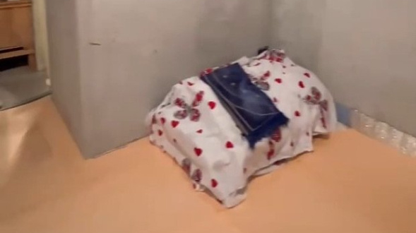 Фото: скриншот тг-канала «Регнум»