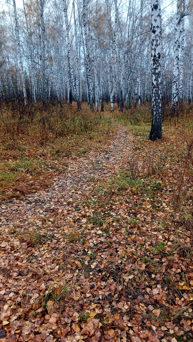 "Доброе утро, мир! Ты прекрасен!" Фото автора