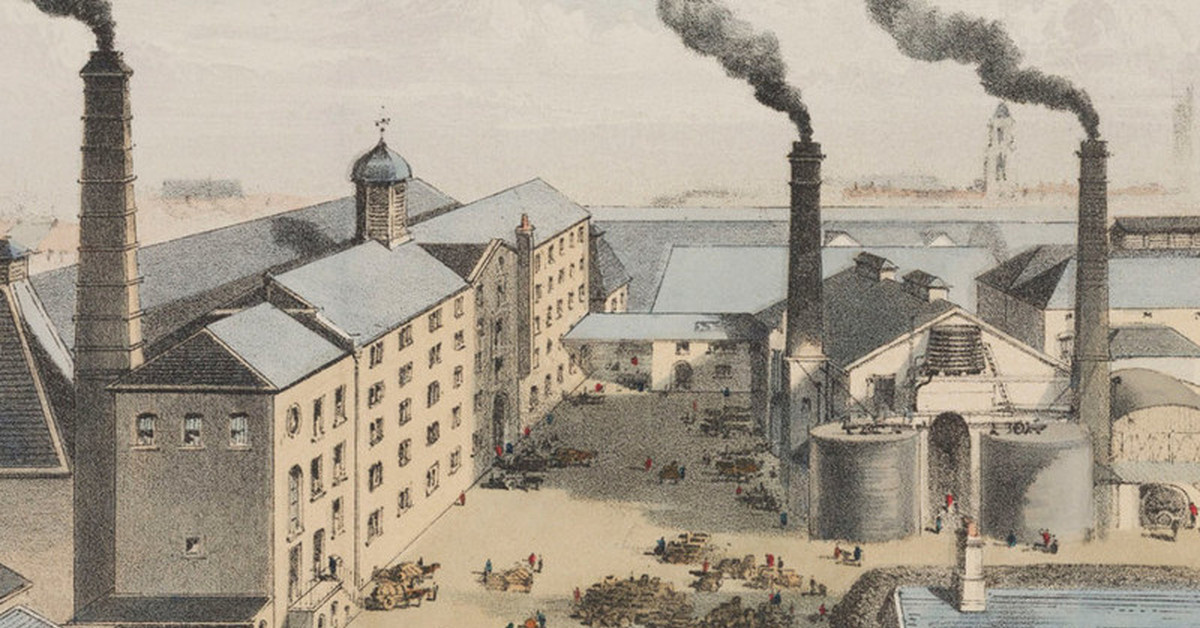 Виноркуня в Дублине