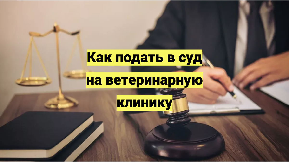 Как подать в суд на ветеринарную клинику