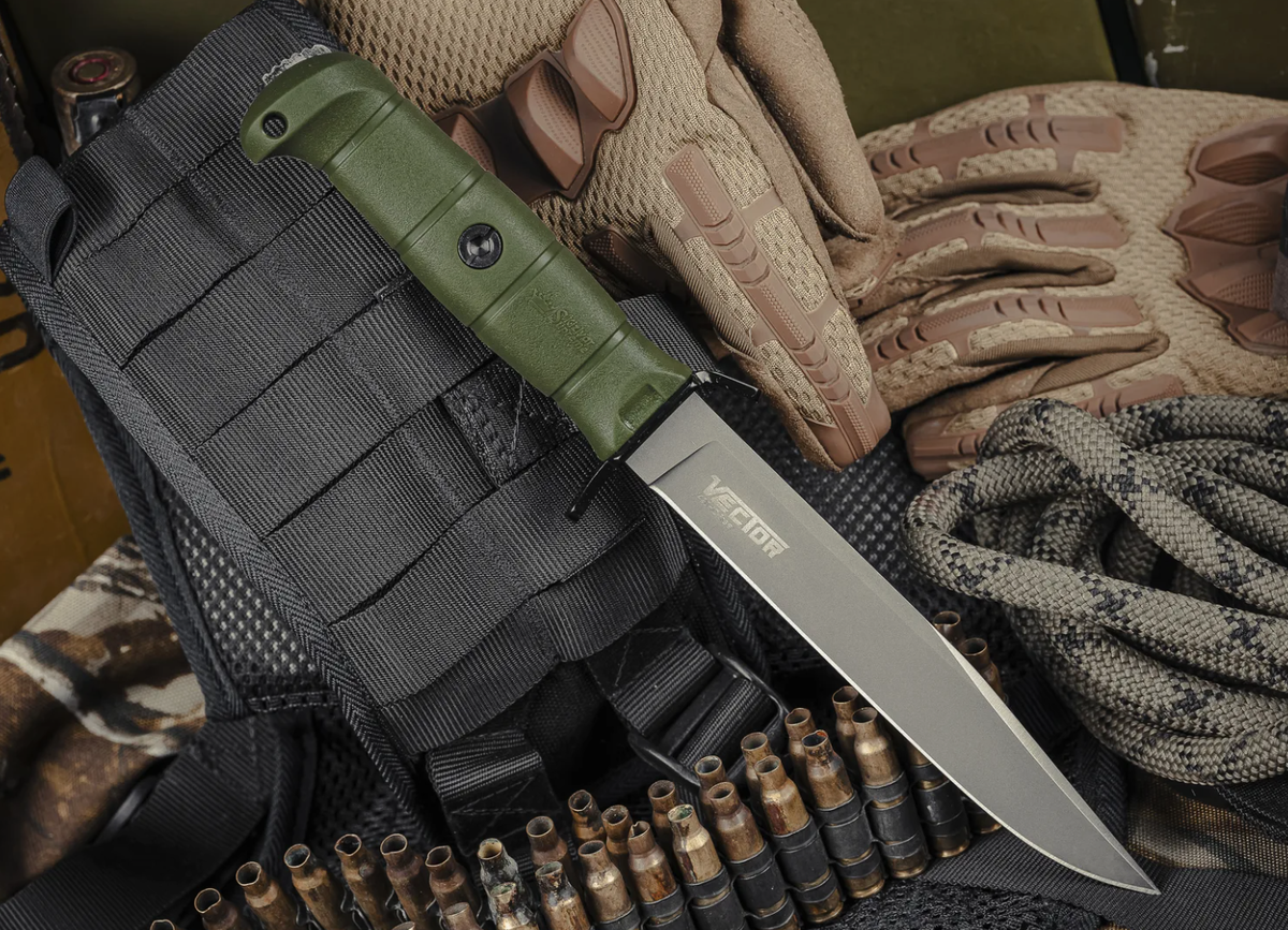 Длинная и более ранняя версия - Вектор