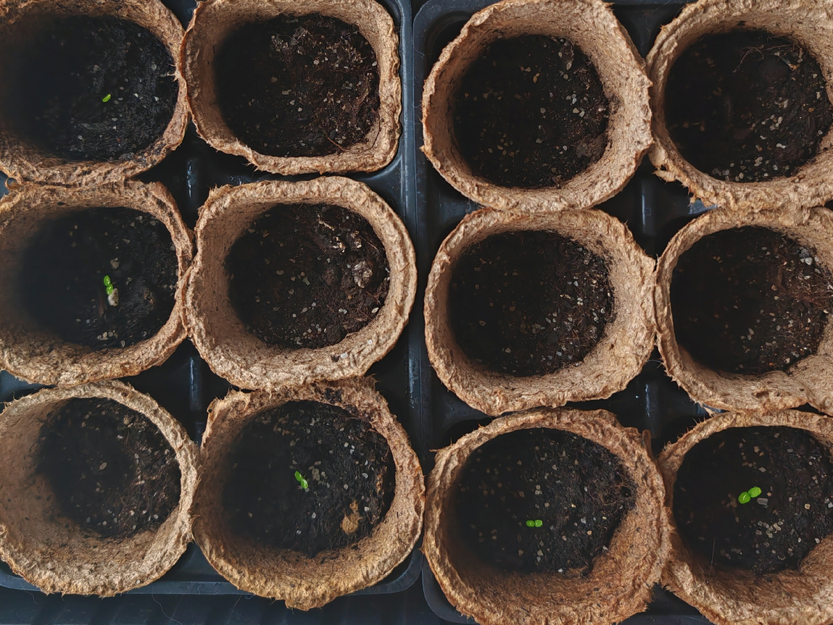 февраль 2024г.