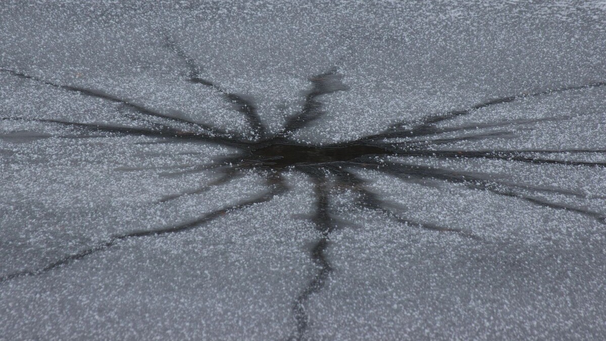    Фото: Aliaksander Karankevich/Shutterstock/Fotodom