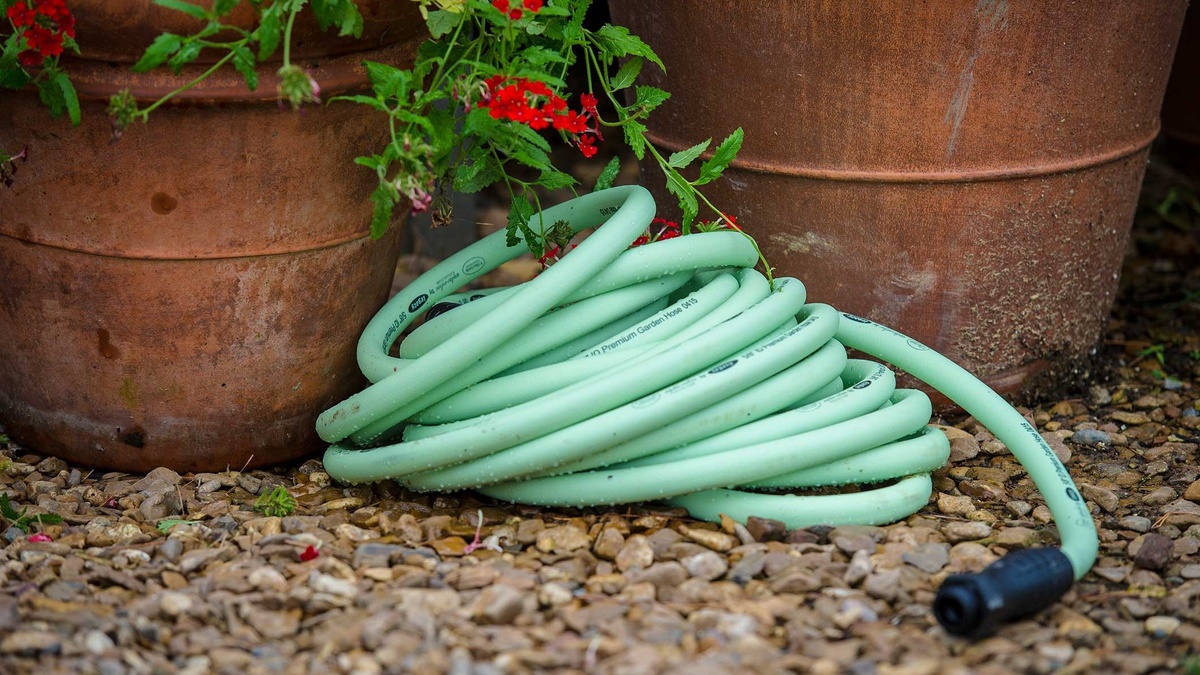 Шланг как удав. Он спрятался в тени горшков.