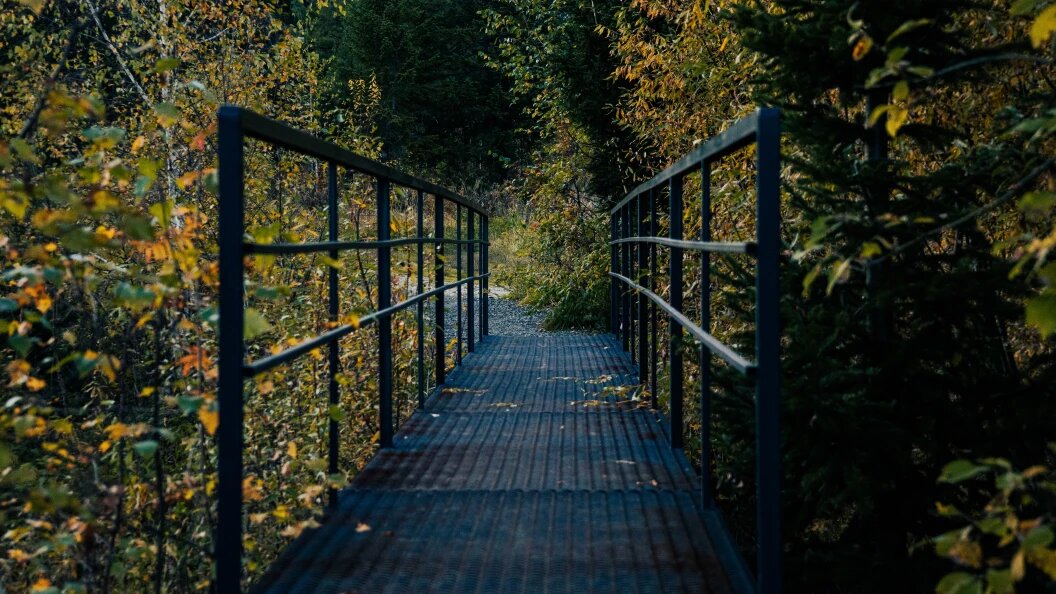    Anastasia Sorgina/Globallookpress