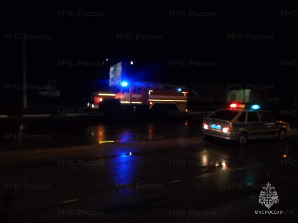    Фото: ГУ МЧС России по Курской области
