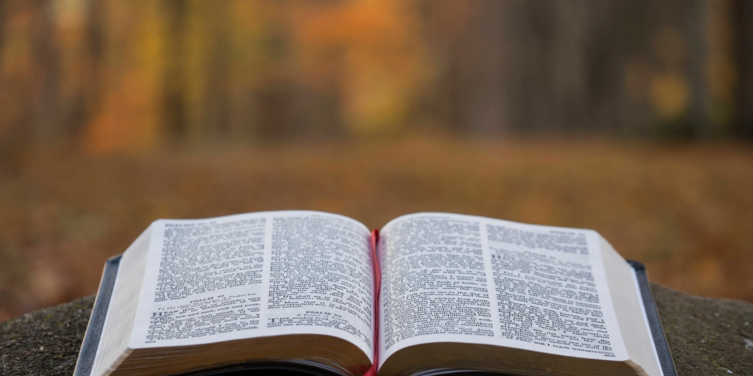 Можно ли толковать Библию буквально?