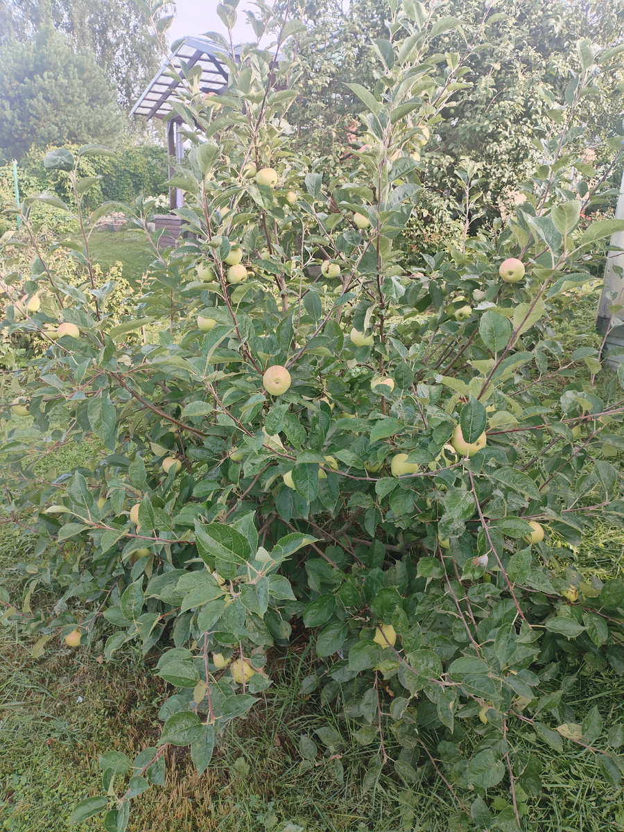 Фото из личного архива