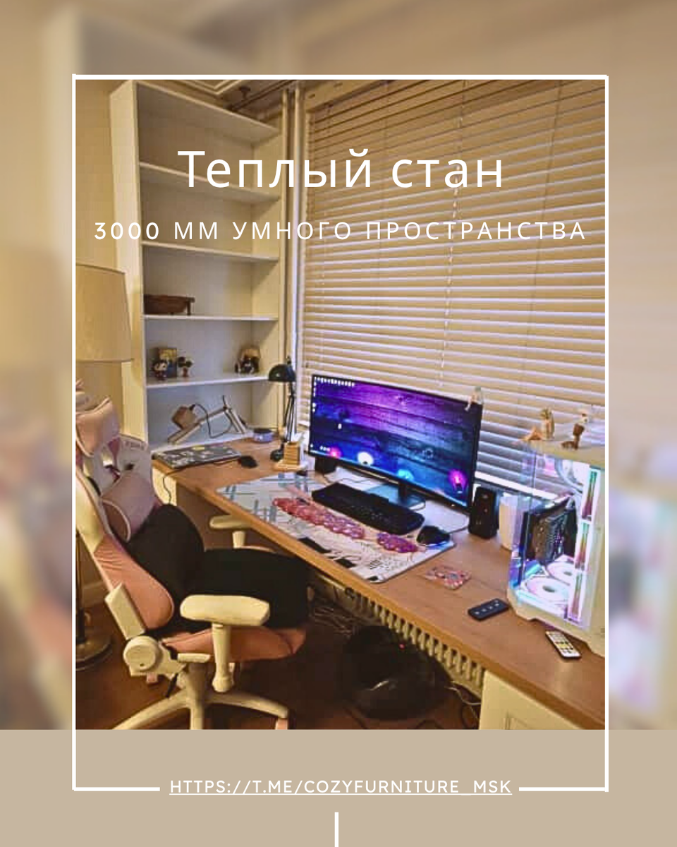 Проект «Рабочий порядок» для Дарьи, Теплый Стан»