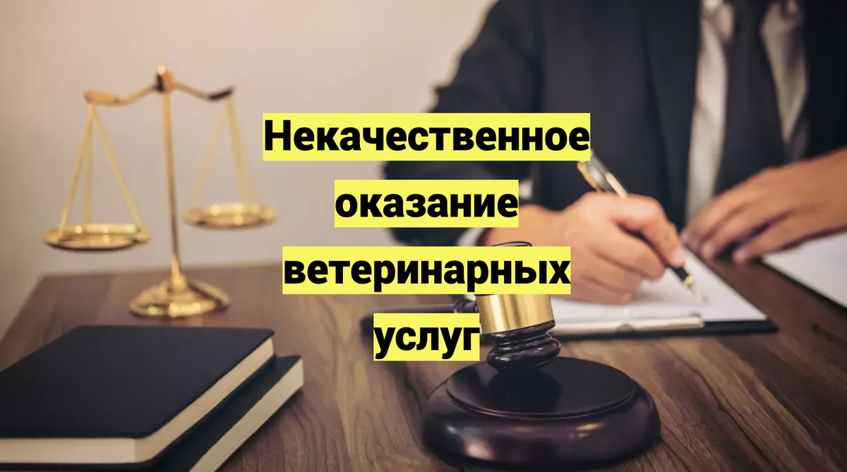 Некачественное оказание ветеринарных услуг