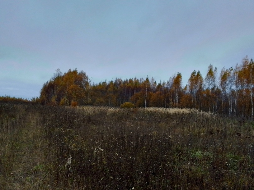 И всё равно накрапывает...