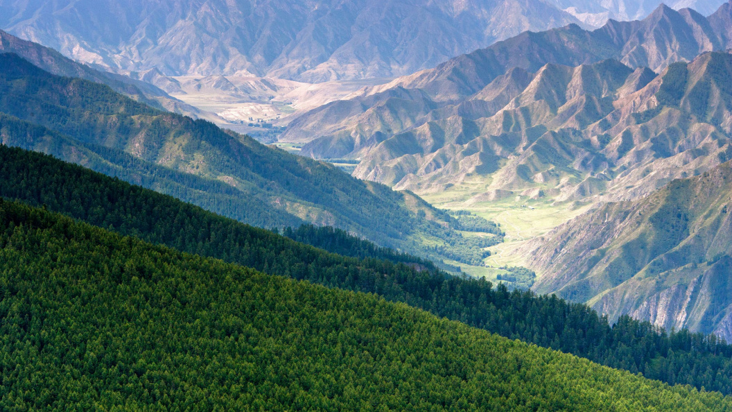    Фото: Serguei Fomine/Global Look Press