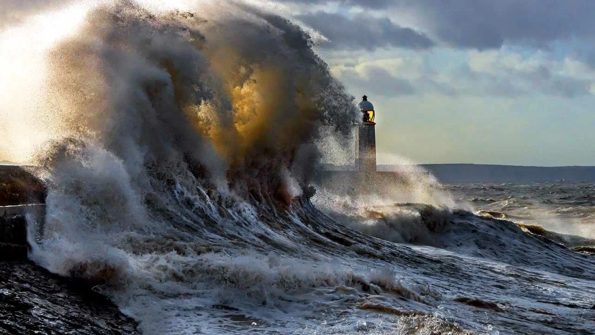 Именно отсюда и заимствовал слово «шторм» из голландского языка Пётр I!