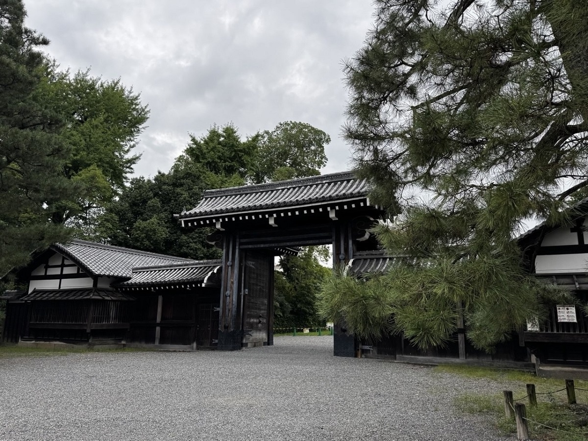   Не говори другим, что у тебя всё хорошо: мудрые жизненные советы с глубоким смыслом