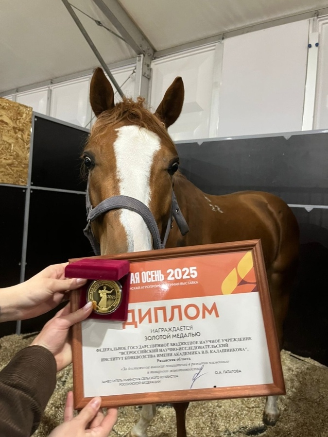 Фото с сайта НИИ Коневодства