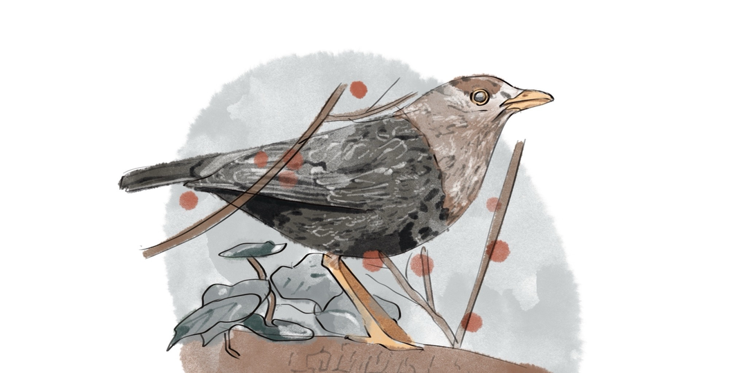 Сколько мне нужно времени, чтобы рисовать